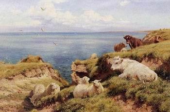  Sheep 164